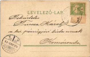 1903 New Year greeting art postcard with four-leaf clover. litho (EK)