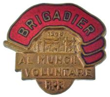 Románia 1948. "Brigadier - Al Muncii Voluntare R.P.R." zománcozott Cu jelvény (23x26mm) T:AU Romania 1948. "Brigadier - Al Muncii Voluntare R.P.R." enamelled Cu badge (23x26mm) C:AU