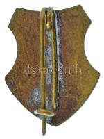 DN "Vasas SZIT (Szakszervezeti Ifjúmunkás- és Tanoncmozgalom)" zománcozott bronz jelvény (...