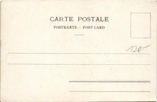 Bateau-Salon "MONTREUX" / salon steamship (EK)