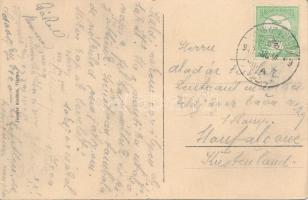 Vihnyefürdő, Kúpele Vyhne; Bözse lak, nyaraló / spa, villa (szakadás / tear)