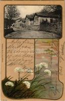 1903 Vihnyefürdő, Kúpele Vyhne; Új fürdőház. Joerges özv. és fia, szecessziós virágos litho / new spa. Art Nouveau, flower, litho (EK)