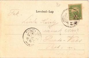 1903 Vihnyefürdő, Kúpele Vyhne; Új fürdőház. Joerges özv. és fia, szecessziós virágos litho / new sp...