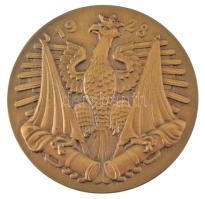 Lengyelország 1928. "Bem József tábornok 1794-1850" bronz emlékérem, eredeti, bordó "...