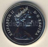 Kanada 1980. 1$ Ag "Jegesmedve" T:PL eredeti csomagolású díszdobozban, kontrollszámmal