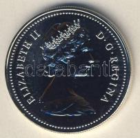 Kanada 1980. 1$ Ag "Jegesmedve" T:PL eredeti csomagolású díszdobozban, kontrollszámmal