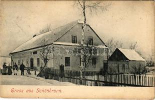 1912 Jedlová, Schönbrunn; in winter (EK)