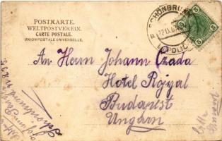 1907 Jedlová, Schönbrunn; Volksschule Unterschönbrunn, Die 500 jährige Linde / school, 500 years old...