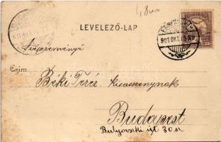 1901 Érsekújvár, Nové Zámky; pályaudvar, vasútállomás, vonatok. Kiadja Conlegner J. és Fia / railway...