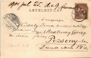 1901 Abos, Obisovce; Hernád vasúti híd, gőzmozdony, faszállító lovaskocsik, vonat / railway bridge o...