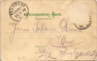 1900 Groß-Siegharts, Localbahn, Schlossergasse, Schloss, Bad und Promenade / railway, train, castle,...