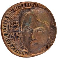 1979. &quot;Hámán Kató Általános Iskola Hatvan 1959 - 1979&quot; egyoldalas, öntött bronz plakett, hátoldalán gravírozva, sérült dísztokban (~99-101mm) + DN &quot;Közoktatási Törzsgárda - Heves megye&quot; műgyantás jelvény (2x) T:AU,XF kis patina