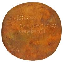 1979. "Hámán Kató Általános Iskola Hatvan 1959 - 1979" egyoldalas, öntött bronz plakett, h...