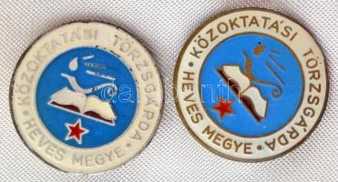 1979. "Hámán Kató Általános Iskola Hatvan 1959 - 1979" egyoldalas, öntött bronz plakett, h...