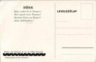 Szépségével elbűvöl a vadregényes Bükk. A Magyar Királyi Államvasutak (MÁV) vasúti turisztikai reklá...