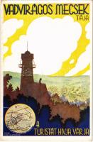 Vadvirágos Mecsek tája a turistát hívja, várja. A Magyar Királyi Államvasutak (MÁV) vasúti turisztikai reklám képeslapja, kiadja Klösz György és Fia / Hungarian State Railways tourism campaign advertisement s: Bartha Gy. (EK)