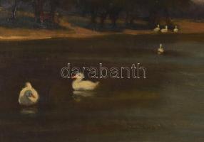 Kiss Farkas Imre (?-?), működött 1920-40 körül: Kacsák a tavon. Olaj, vászon. Jelzett. Javított. Dek...