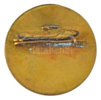 ~1965-1970. "40 év a Magyar Zenekultúra Szolgálatában" aranyozott, zománcozott bronz jelvé...