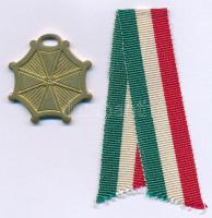 DN "Szent Tamás Április 3-án 1849" sárgaréz emlékérem, modern hamisítvány (fake) nemzetisz...