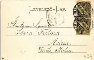 1904 Hortobágy, bivalyok. Eperjesy István kiadása