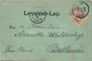 1900 Stájerlak, Steierlak, Stájerlakanina, Steierdorf, Anina; (EK)