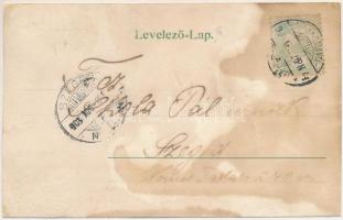 1903 Stájerlak, Steierlak, Stájerlakanina, Steierdorf, Anina; Fő utca, Római katolikus templom, közs...