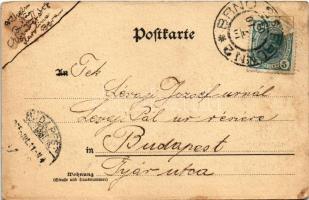 1905 Brno, Brünn; Grosser Platz gegen Ferdinandsgasse / square, street view, shops (EB)