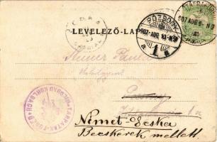 1907 Tátra, Magas-Tátra, Vysoké Tatry; Tarpataki óriási vízesés, fahíd / waterfall, wooden bridge (E...