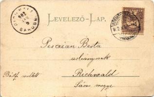 1902 Körmöcbánya, Kremnitz, Kremnica; Vadászkürt szálloda. Ritter Lipót kiadása / hotel (szakadások ...