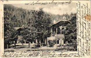 1905 Borosznófürdő, Brusno-kúpele (Borosznó, Brusznó, Brusno); gyógyfürdő. Ivánszky Elek kiadása / spa, villa (b)