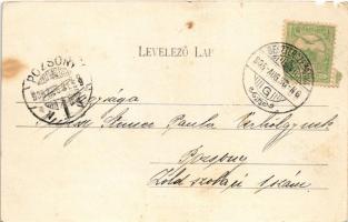 1905 Borosznófürdő, Brusno-kúpele (Borosznó, Brusznó, Brusno); gyógyfürdő. Ivánszky Elek kiadása / s...