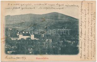 1900 Tapolyhanusfalva, Hanusfalva, Hanusovce nad Toplou; Gróf Dessewffy kastély. Divald Adolf 123. / castle (EK)