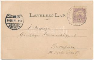 1900 Tapolyhanusfalva, Hanusfalva, Hanusovce nad Toplou; Gróf Dessewffy kastély. Divald Adolf 123. /...