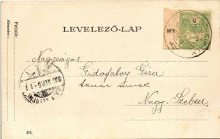 1906 Marosvásárhely, Targu Mures; Római katolikus templom, Zenélő kút, Kossuth szobor, gyógyszertár,...