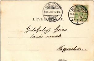 1904 Gyulafehérvár, Alba Iulia; látkép. Schäser Ferenc kiadása / general view (fl)