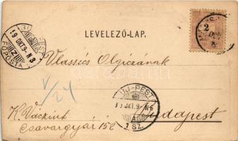 1899 (Vorläufer) Arad, 1849-1899 Október 6. Aradi Vértanúk. Muskát M. kiadása / The 13 Martyrs of Ar...