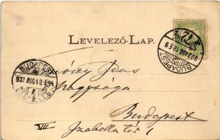 1902 Máramaros, Maramures; Román népmulatság. Berger Miksa kiadása / Romanian folk festival