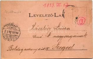 1899 (Vorläufer) Felsőbánya, Baia Sprie; látkép. Fénynyomat Divald K. fia / general view (ragasztóny...