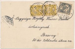 1903 Kászonfürdő, Kászonjakabfalva, Baile Casin; fürdő. Bogdán F. fényképész / spa (szakadás / tear)