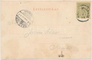 1904 Nagyszalonta, Salonta; Arany János szülőháza, Arany Toldija, Arany szoba, Csonka torony, Czincz...