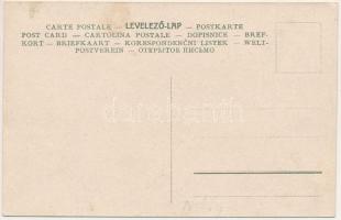 Szakolca, Uhorská Skalica (Nyitra); Hammer és Vorsák gyógyszerészeti szükségletek gyára / pharmaceut...