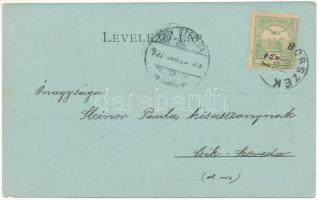 1902 Borszék, Borsec; Boldizsár kút, Hidegvízgyógyintézet. Bogdánffy István kiadása / fountain, spri...