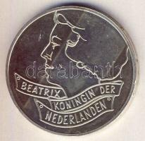 Hollandia 1994. 50G Ag "Maastrichti szerződés" T:BU k. kis ph