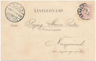 1899 (Vorläufer) Székelyhíd, Sacueni; zsinagóga, Kiss Márton, Haupt Mór üzlete. Helyfi László kiadás...