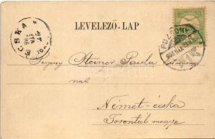 1903 Pozsony, Pressburg, Bratislava; Vaskutacska, Ferdinánd király vasfürdő. Louis Koch kiadása / Ei...