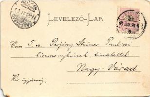 1899 (Vorläufer) Versec, Werschetz, Vrsac; Polgári lövölde. Wilh. Wettl kiadása / Schiesstätte / sho...