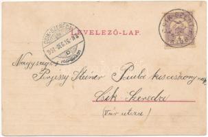 1901 Csíkszereda, Miercurea Ciuc; vasútállomás. Szvoboda József kiadása / railway station (EK)