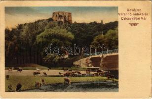 1914 Csicsvaalja, Podcicva (Telekháza, Sedliská); Varannó vidéke, vár, híd. Spira Ábrahám kiadása / Hrad Cicva (Cicava) / castle, bridge (EK)