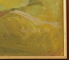 Azonosítatlan jelzéssel: Táj, folyóval. Olaj, vászon, dekoratív keretben 30x38 cm