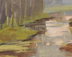 Azonosítatlan jelzéssel: Táj, folyóval. Olaj, vászon, dekoratív keretben 30x38 cm